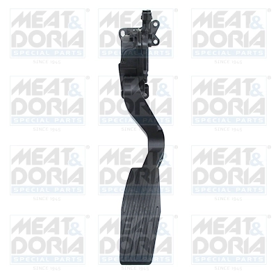 Accelerator Pedal Unit